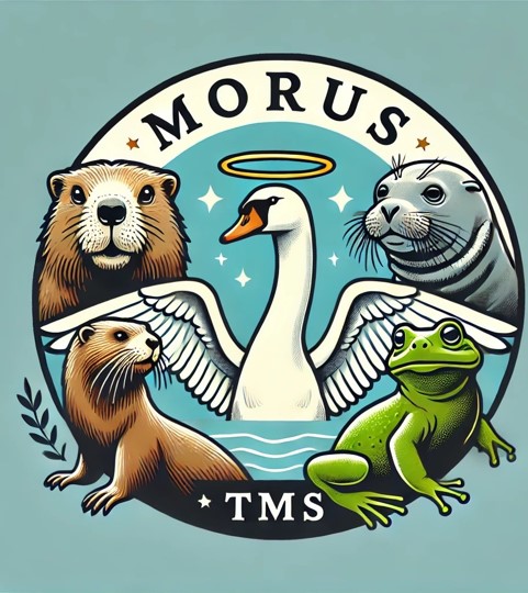 MORUS Symbol